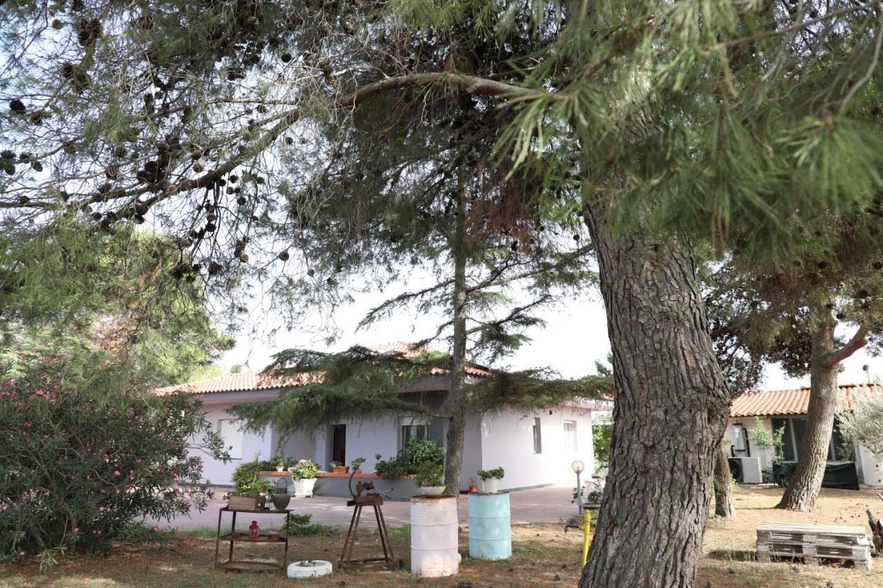 La Dimora Di Nonno Nuccio Hotel Ragusa Exterior photo
